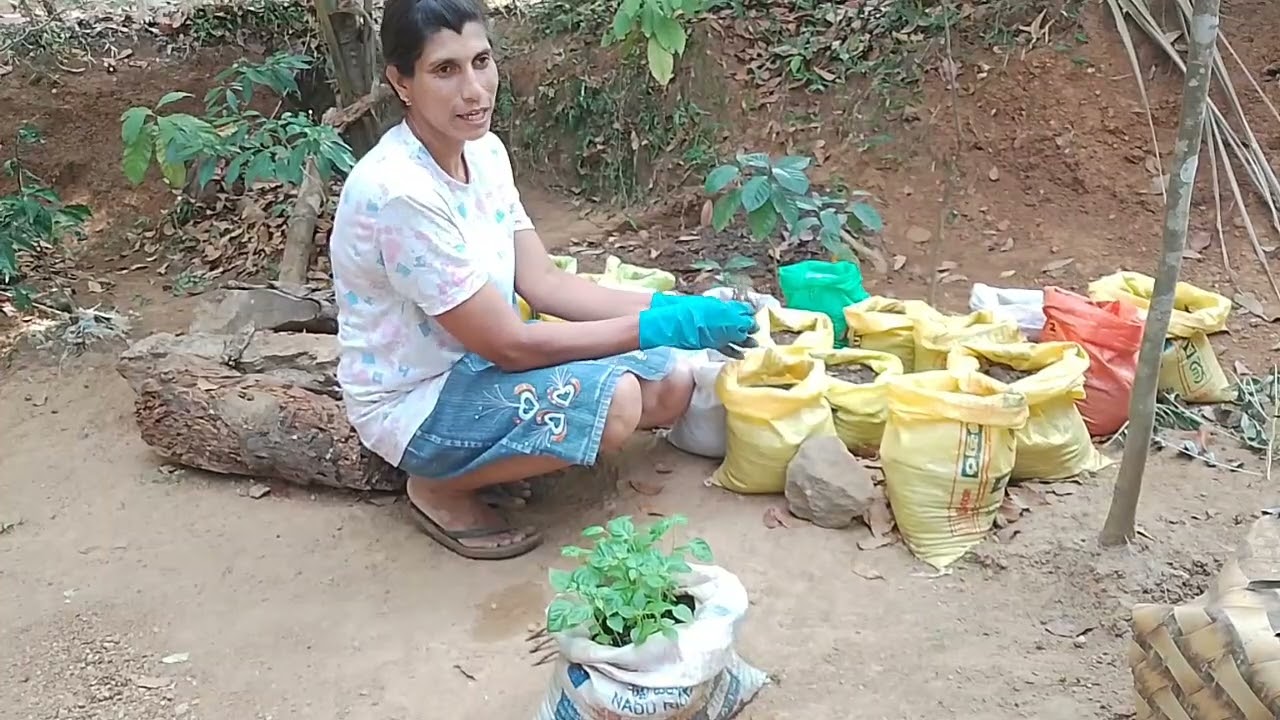 අහක දාන කවර වලින් මම වැඩක් ගත්තු විදිහ 👍