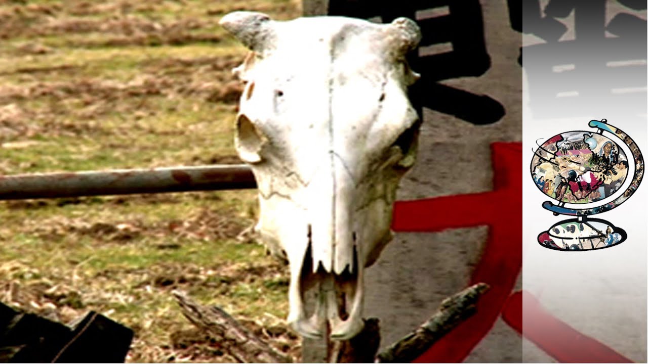 Just How Bad Has Fukushima Become?