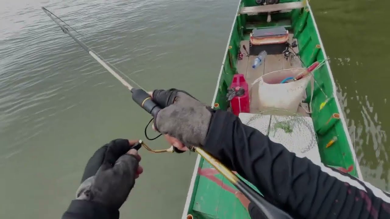 strike kakap putih menggunakan rod capung 702