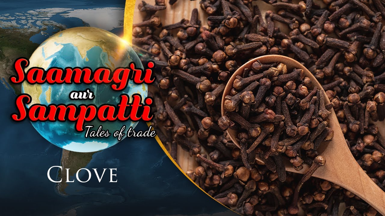 Saamagri Samapatti Aur Sauda - The Story Of Clove | Trade and History of Clove | Indian Spices