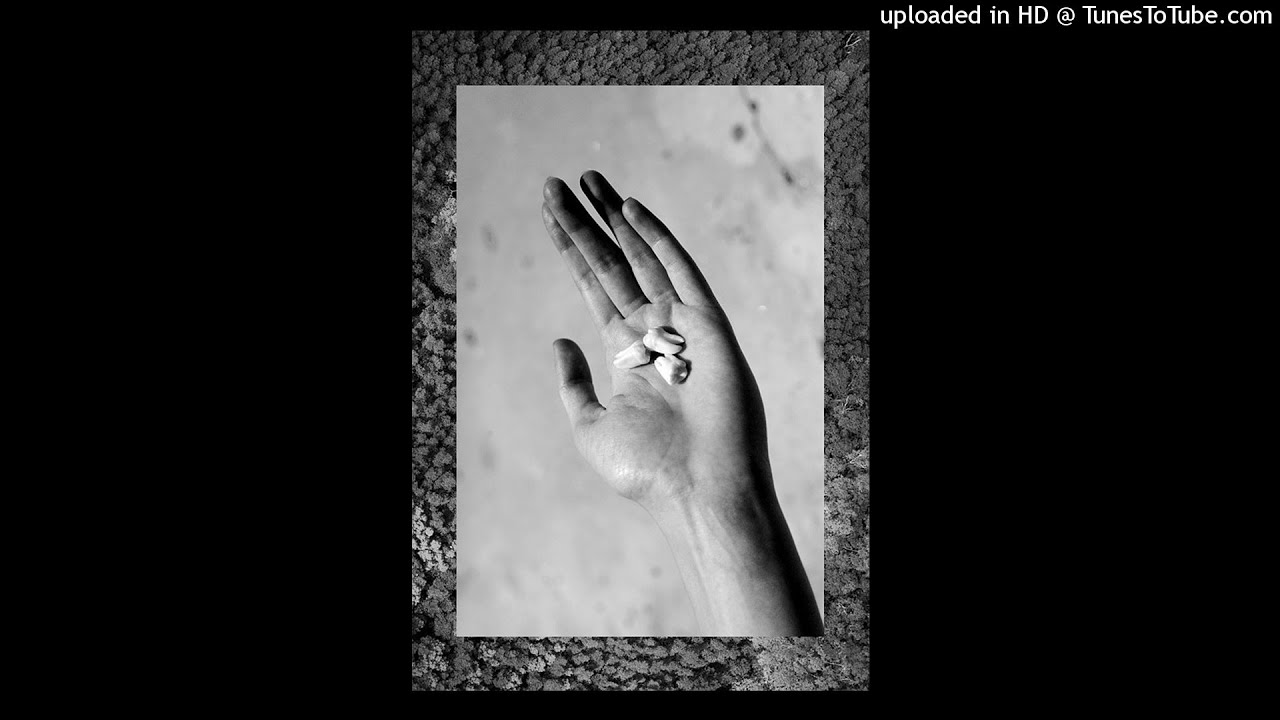 Oil Thief - In the Heat