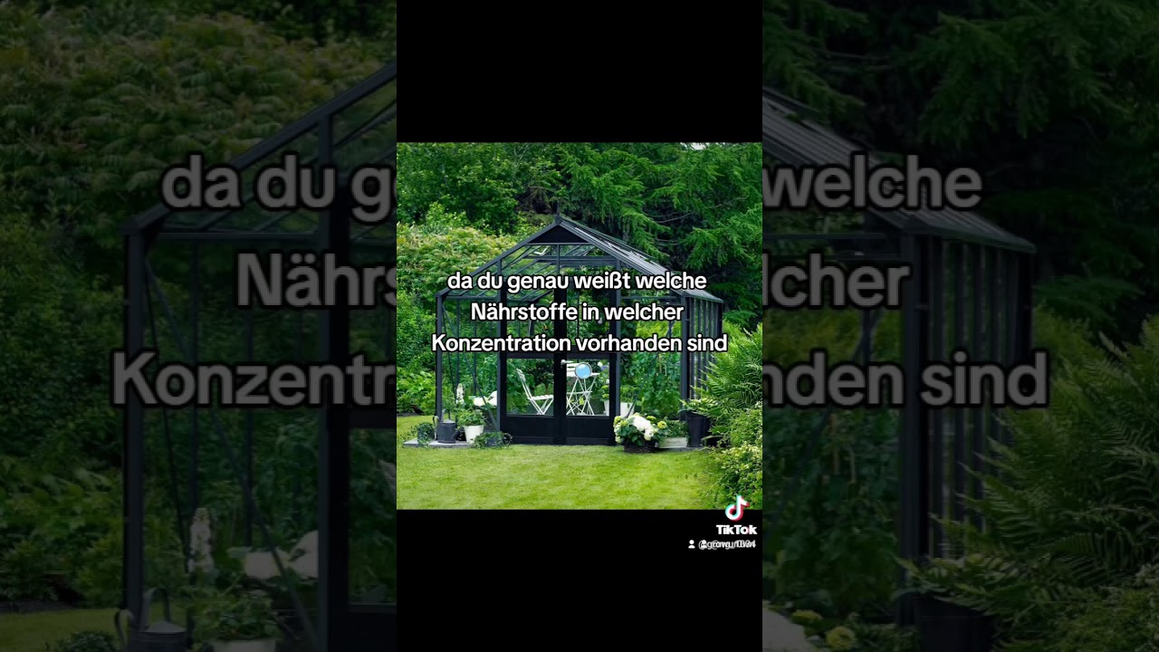 #420 #legalisierung #anbau #eigenanbau #pflanzen #bl&uuml;ten #bubatz #legal