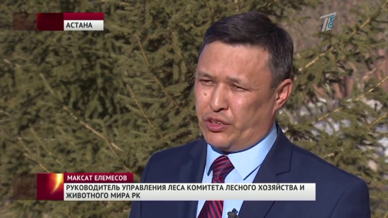 2017 Первый канал ЕВРАЗИЯ  Главные новости  Выпуск от 11 04 2017