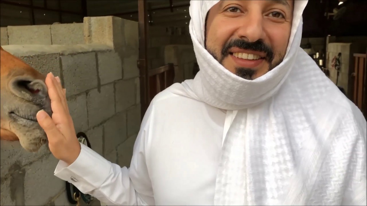عبيد العوني الخيل العربي الاصيل  معلومات مهمة معاناة اهل الخيل  Arabian horse