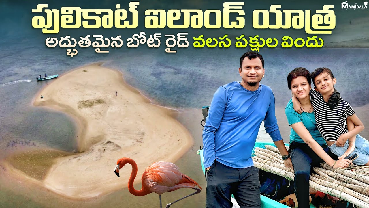 పులికాట్ సరస్సు యాత్ర - అద్భుతమైన బోట్ రైడ్, వలస పక్షుల విందు #pulicatlake #teluguvlogs