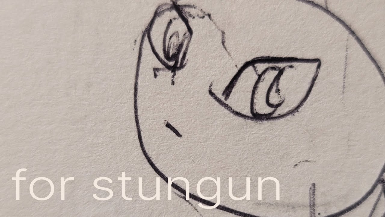 For stungun