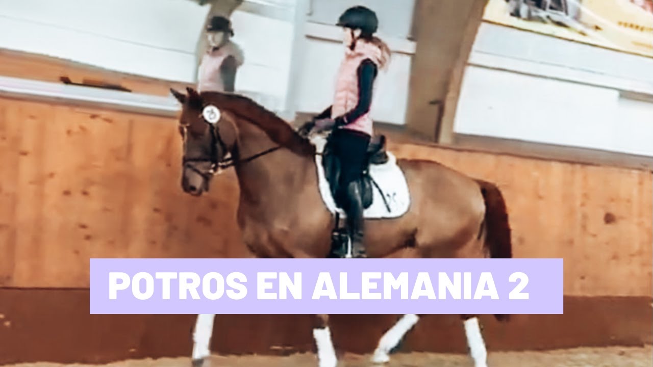 Vlog / Probando potros en Alemania / Parte 2