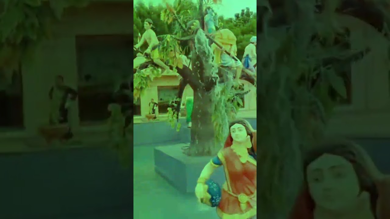 Poicha#bharuch#gujrat#subcreibe#shortvideo