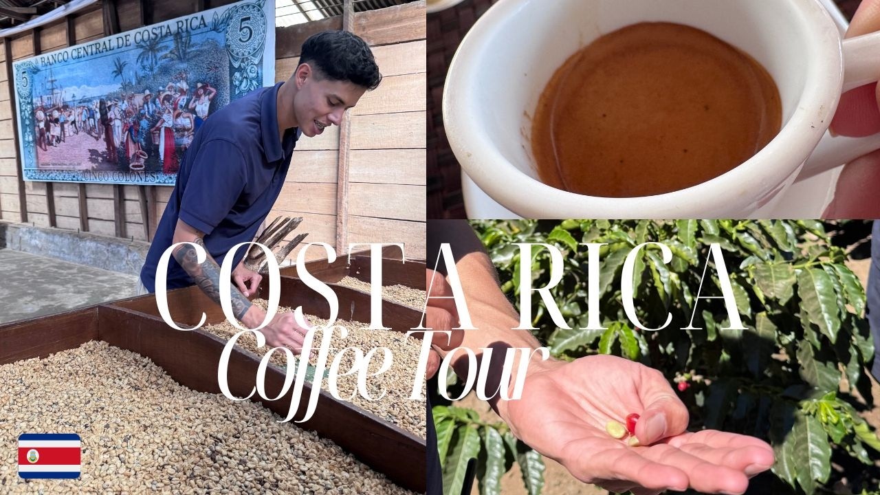 Costa Rican Coffee Plantation Tour 2026 at Doka Estate Costa Rica Coffee Tour and Plantation