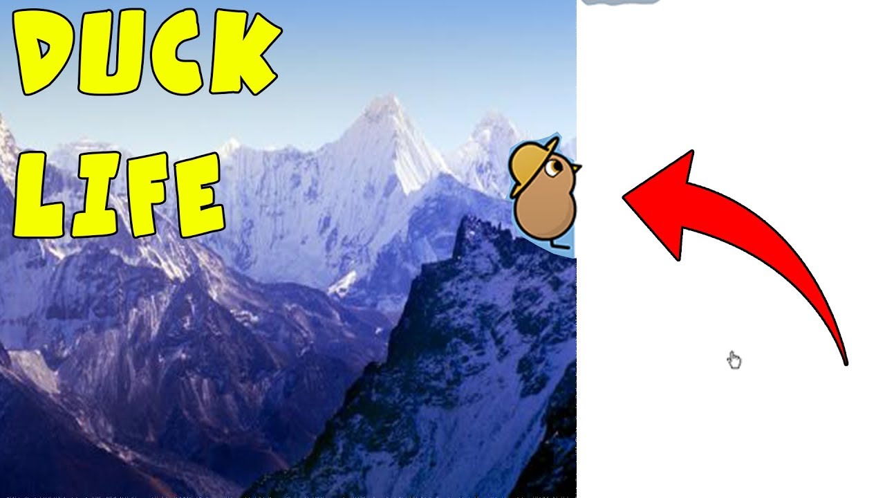 KACZKA ALPINISTKA!