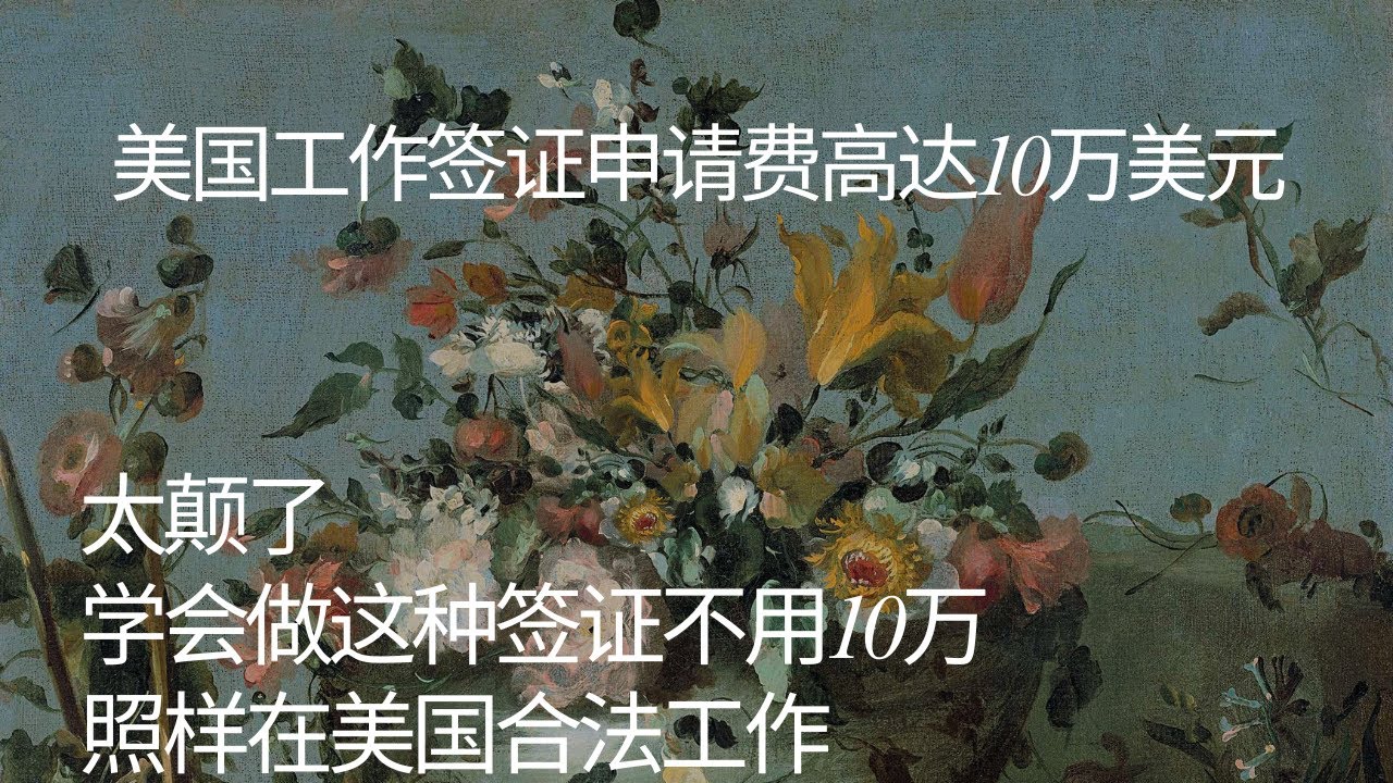 美国工作签证申请费高达10万美元，太癫了，学会做这种签证，不交10万美元也能来美国工作
