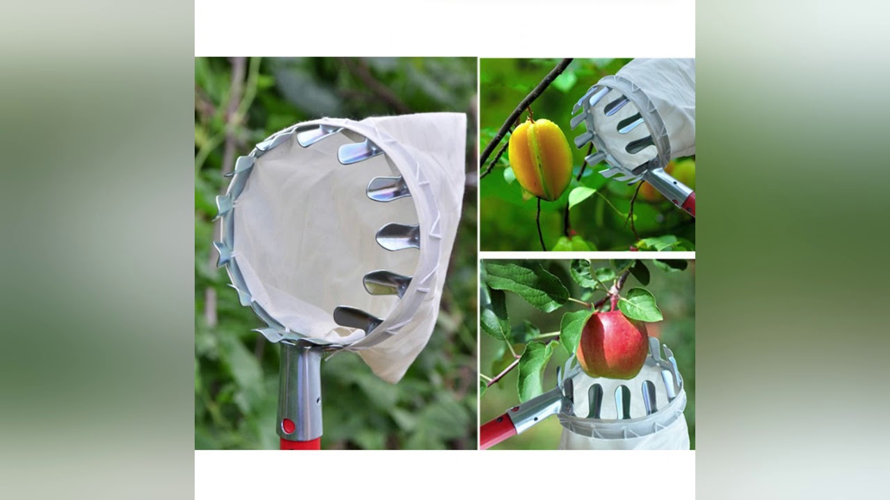 HIGH TREE FRUIT PICKING TOOL