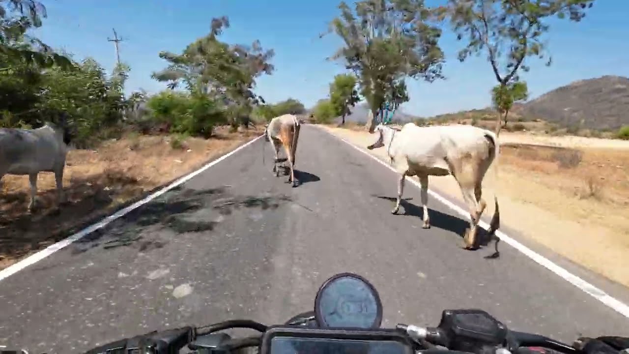 This Road to Mekedatu Sangama Feels Unreal 😍 | Nature, Farms & Peace