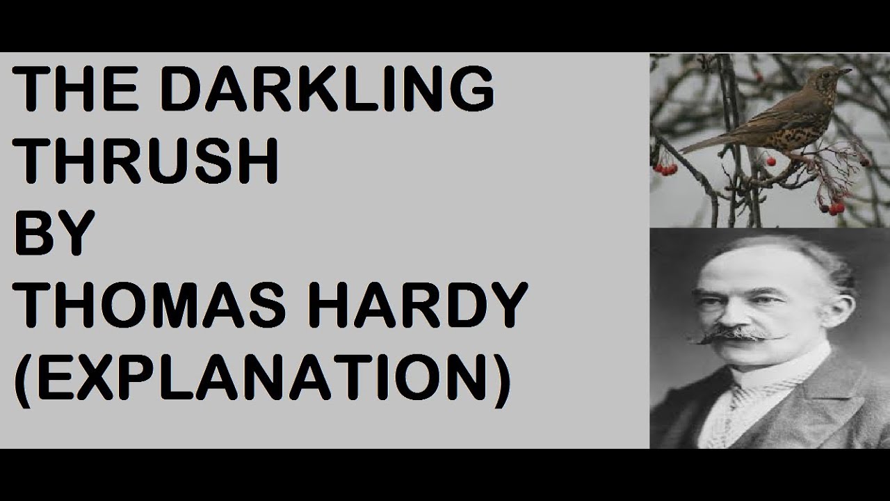The Darkling Thrush By Thomas Hardy Explanation