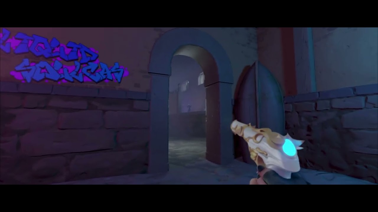 Valorant 3D Montage For Liquid Soulcas | 