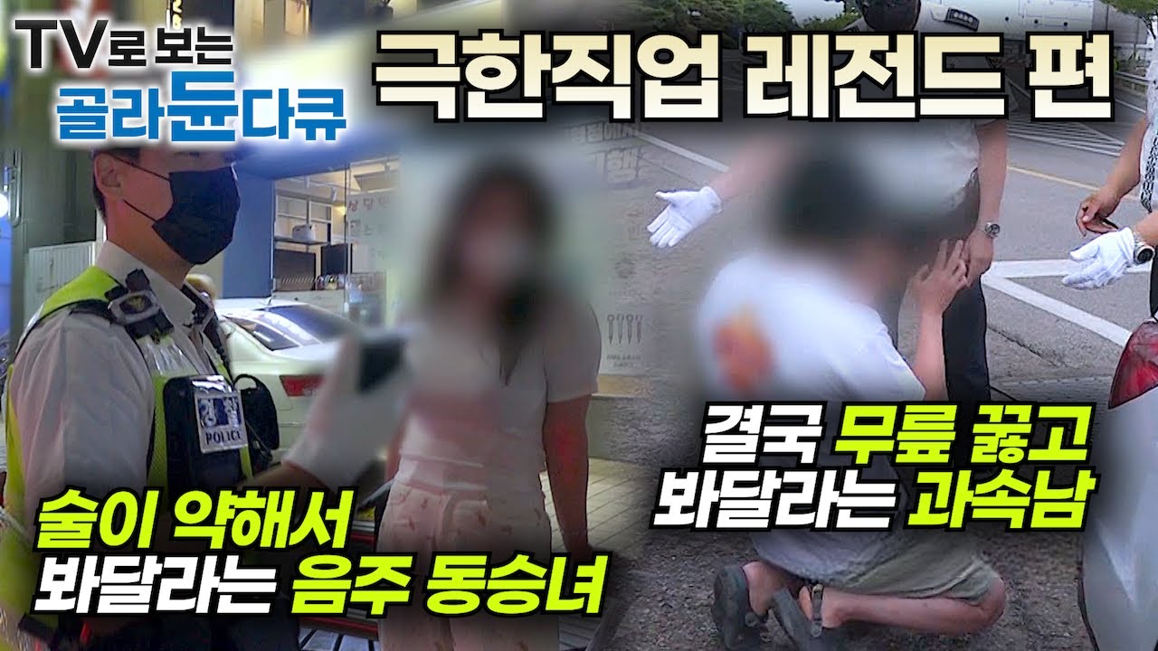 ✨극한직업 레전드 편🏅교통경찰 24시 풀버전!┃고속도로 암행 순찰부터 오토바이 특별 단속과 음주 단속까지! 선처는 없다┃도로 위 안전을 사수하라! 교통경찰┃극한직업┃#골라듄다큐