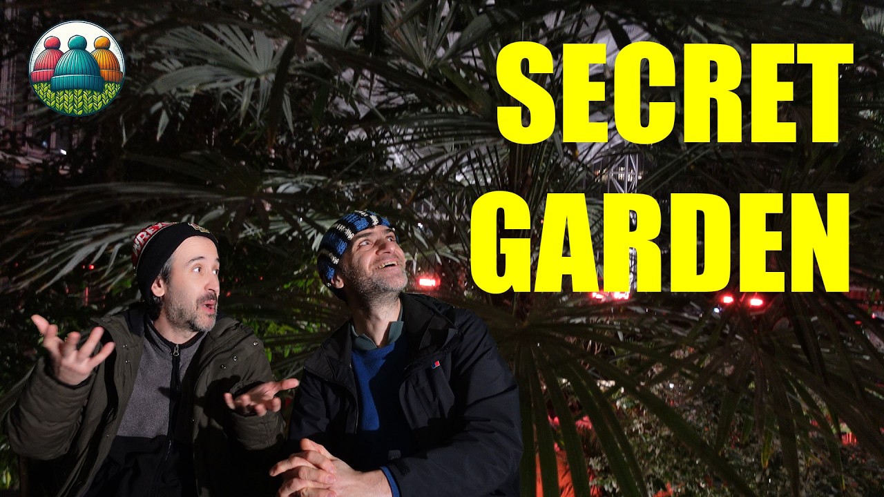 We Found Every Houseplant You Own... But 40 Meters Tall!