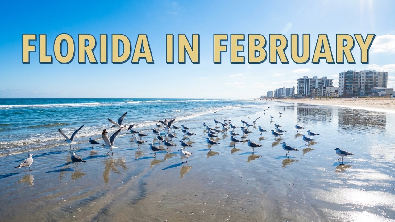 February in Florida. Another Day in Paradise