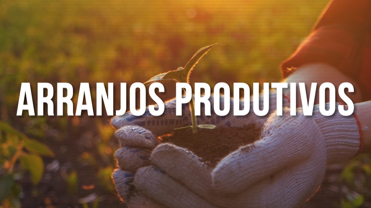 ARRANJOS PRODUTIVOS - GUAÇUI - 26/02/2026