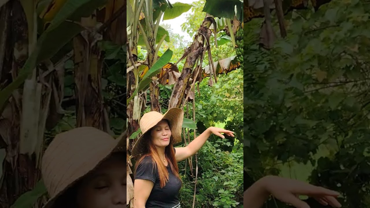 galing kami nag tiktok sa Palayan
