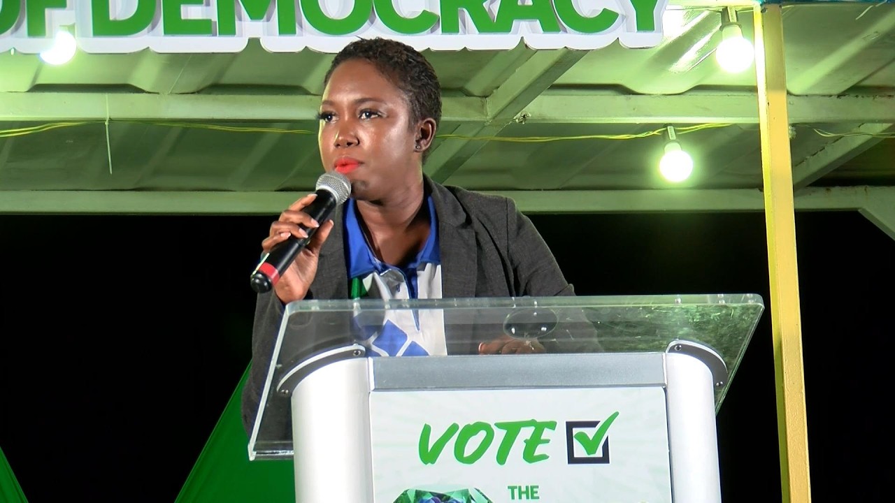 FOD Leader questions BLP’s foreign investment plans