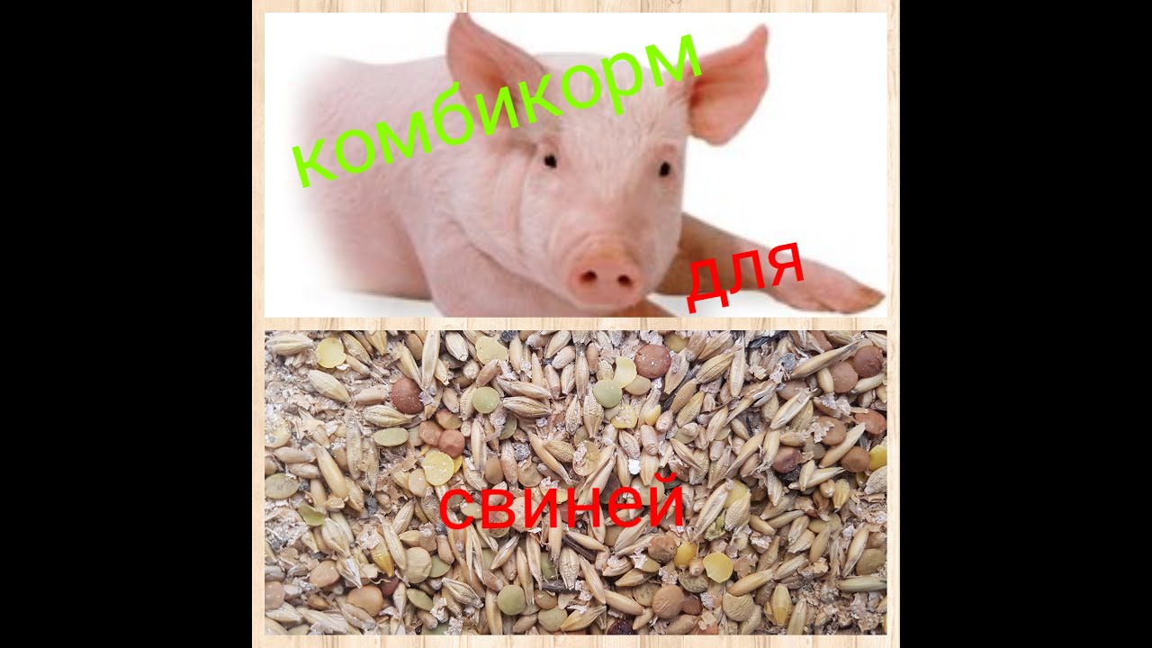 КОМБИКОРМ ДЛЯ СВИНЕЙ