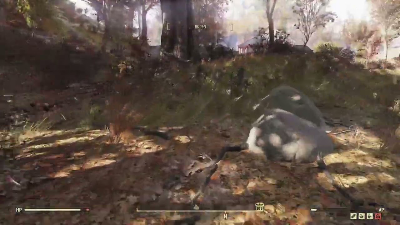 Highlight: Entwickler faselt: Fallout 76 [Deutsch]