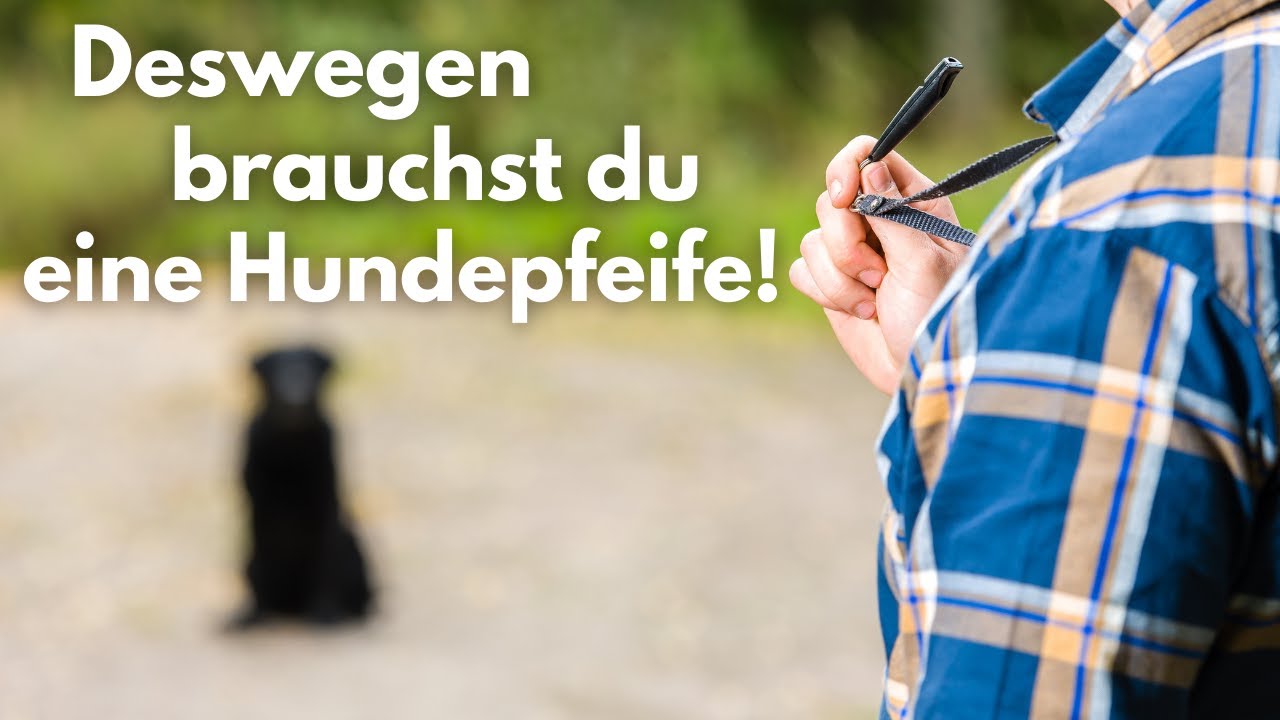 Abruf mit Hundepfeife | Deswegen brauchst du eine Hundepfeife! | Tipps beim Kauf | Ep. 11