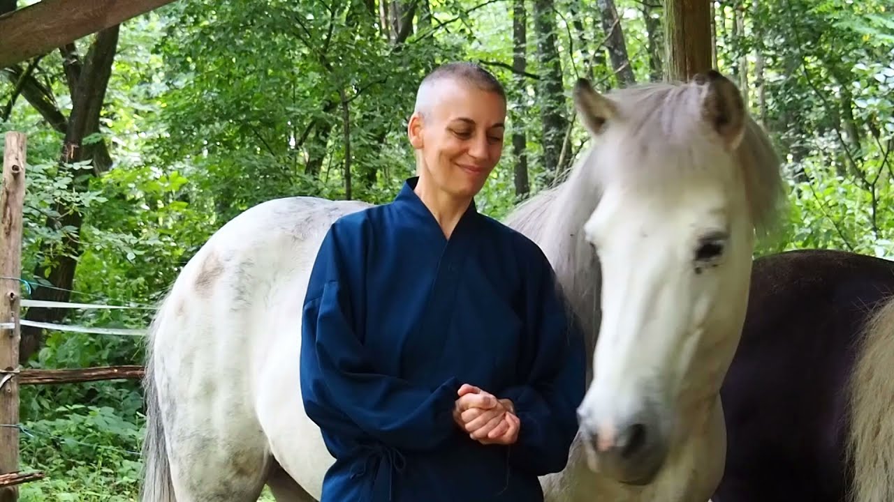 La ferme Kibo, présentation complète ( méditation, animaux, logements, retraites, permaculture )