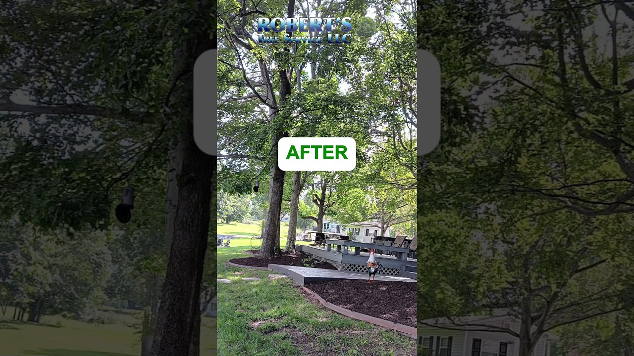 Landscaping Refresh! #lakesideproperty #landscaping #fallprep
