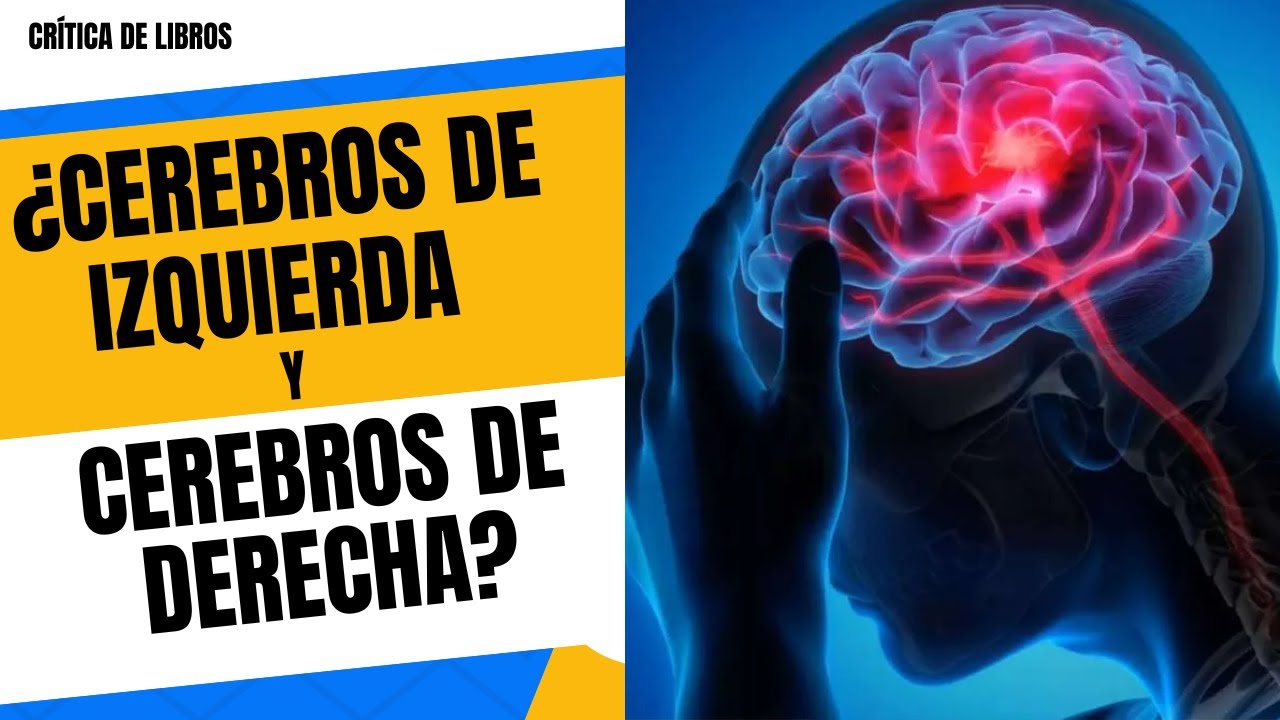 ¿Cerebros de izquierda y cerebros de derecha? (a propósito de El cerebro ideológico de Leor Zmigrod)