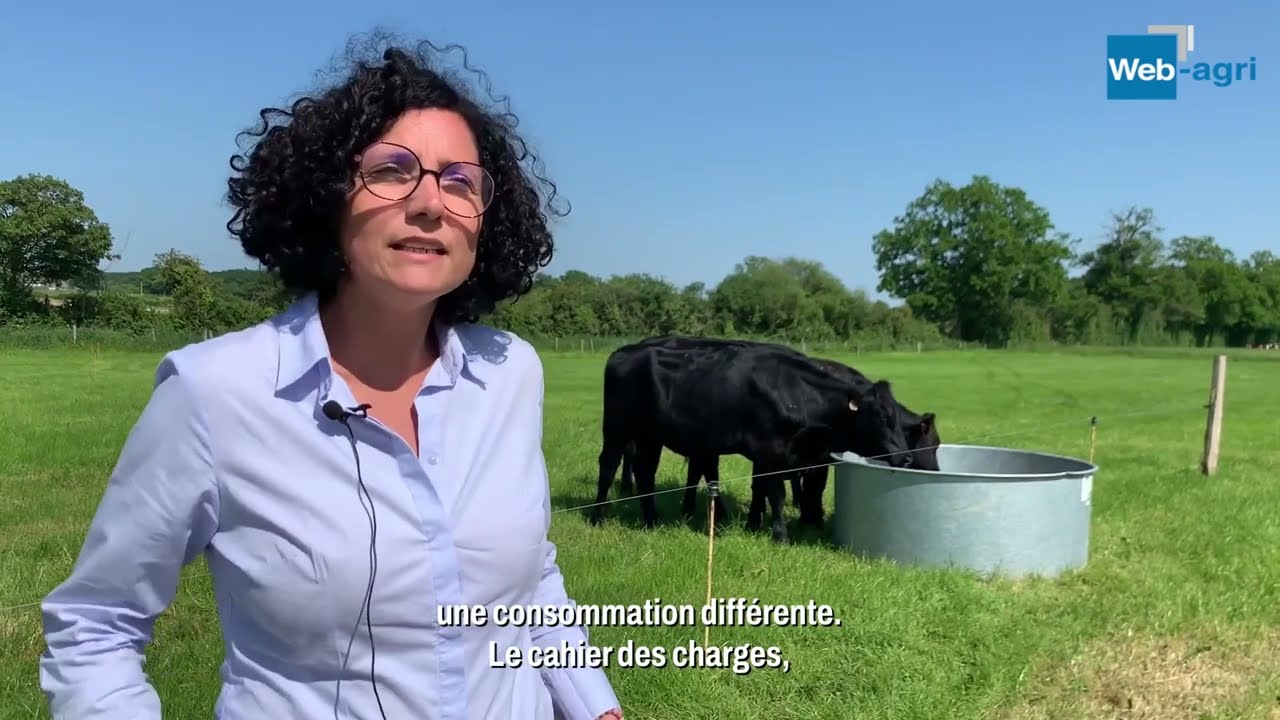 Herbo Pacte la valorisation des veaux laitiers par Bigard
