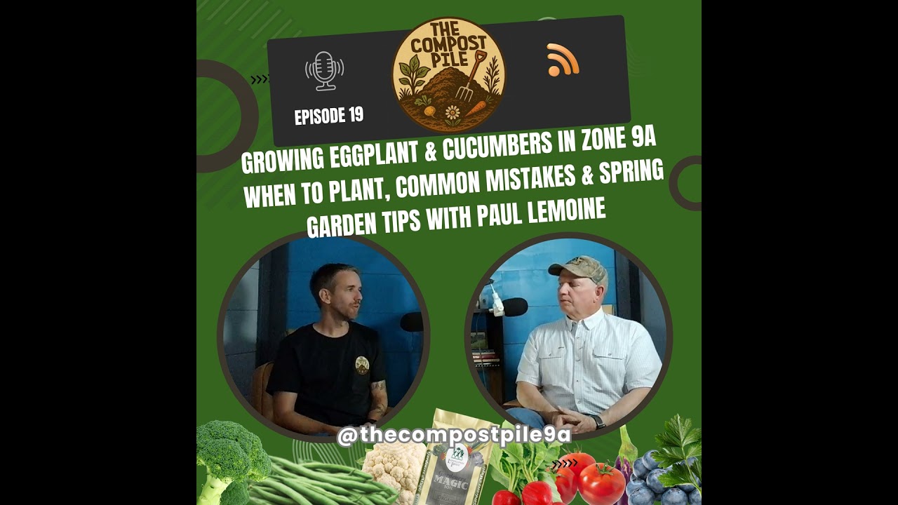 Growing Eggplant & Cucumbers in Zone 9a | When to Plant, Common Mistakes & Tips with Paul Lemoine