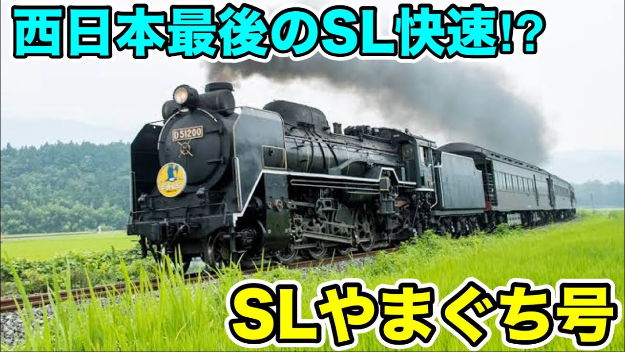 【西日本最後のSL快速⁉︎】SLやまぐち号に乗ってみた