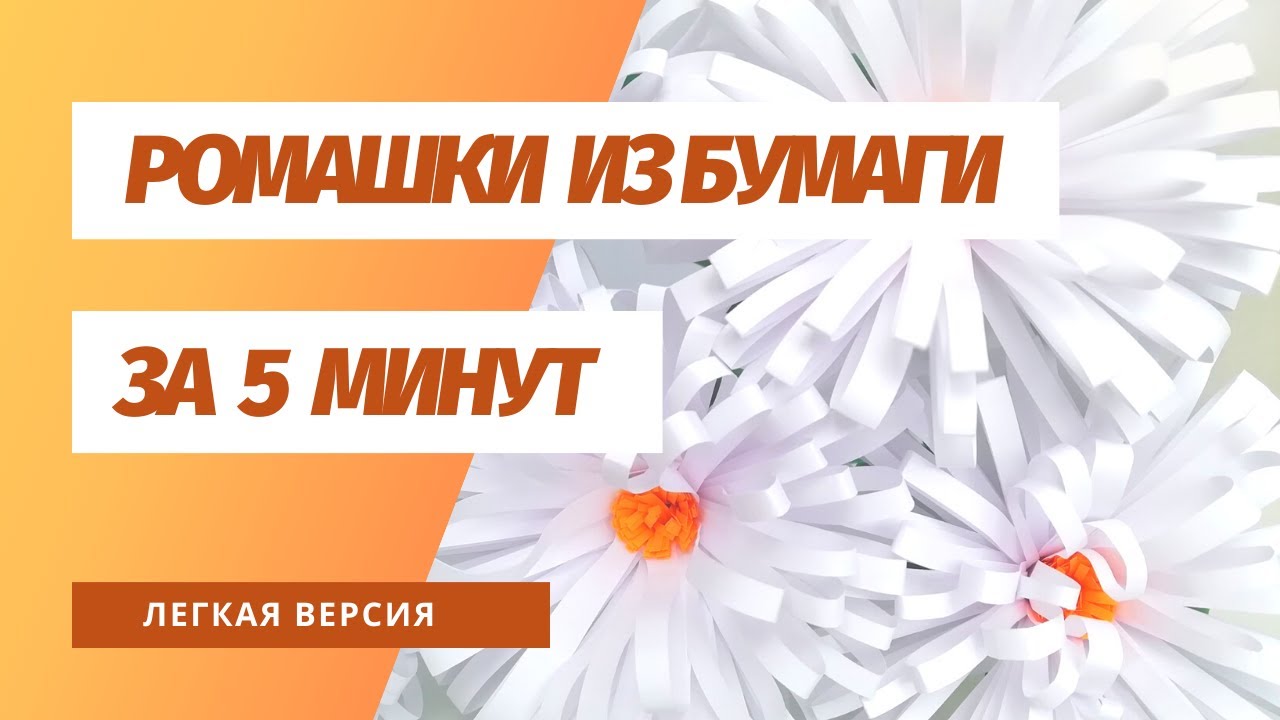 Ромашки из бумаги. Цветы из бумаги. Ромашки из бумаги своими руками.