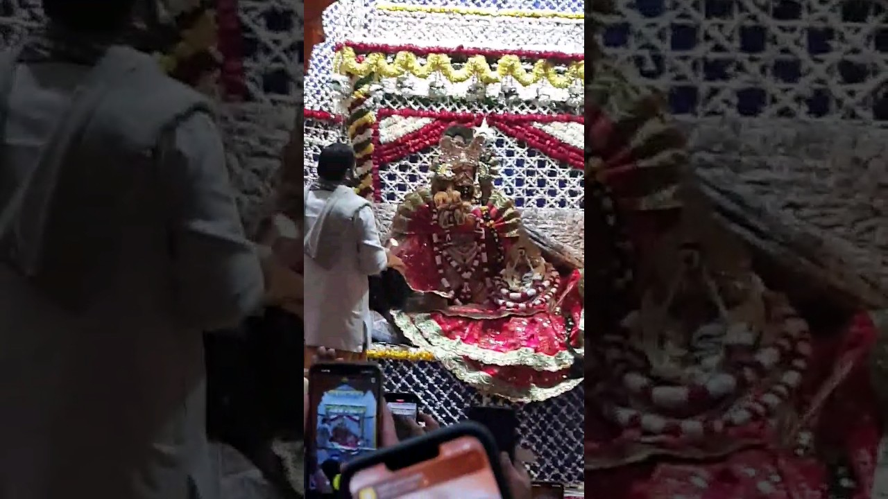Tera nazara 💗 #nidhivan #vrindavan #bankebihari #radhavallabh #yamuna #yamunanadi