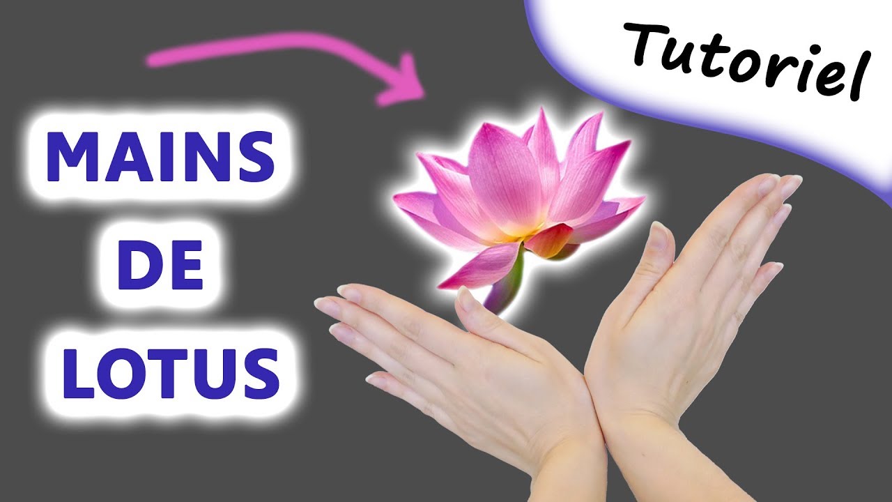 Mains de Lotus (Lotus Hands) - Tutoriel pas à pas | Jill Otter