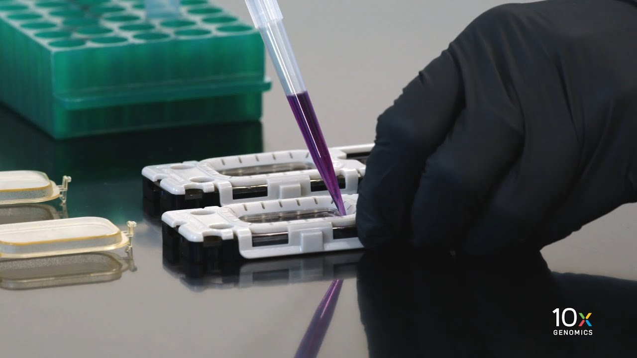 Xenium In Situ Technical Overview | Assay Protocols - Best Practices