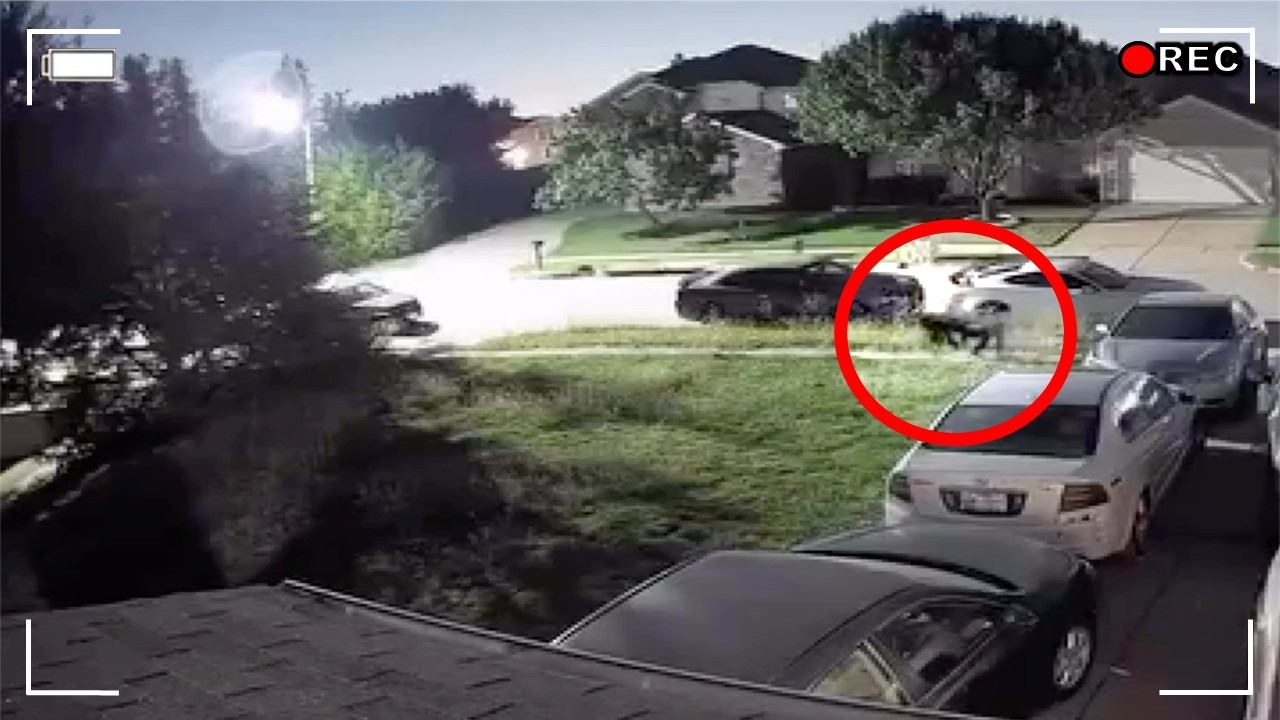 10 Unsolved Mysteries That Are Going Viral Right Now