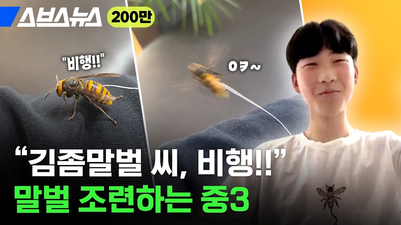 K-중학생은 말벌도 조련해~ 기특한 10년생 파브르 단독 인터뷰★ / 스브스뉴스