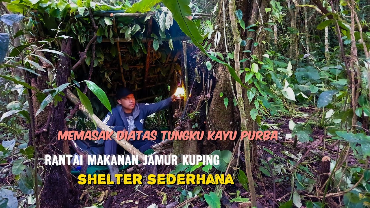 Bushcraft pembuatan shelter sederhana berburu jamur hutan  memasak di tungku  kayu purba outdoors