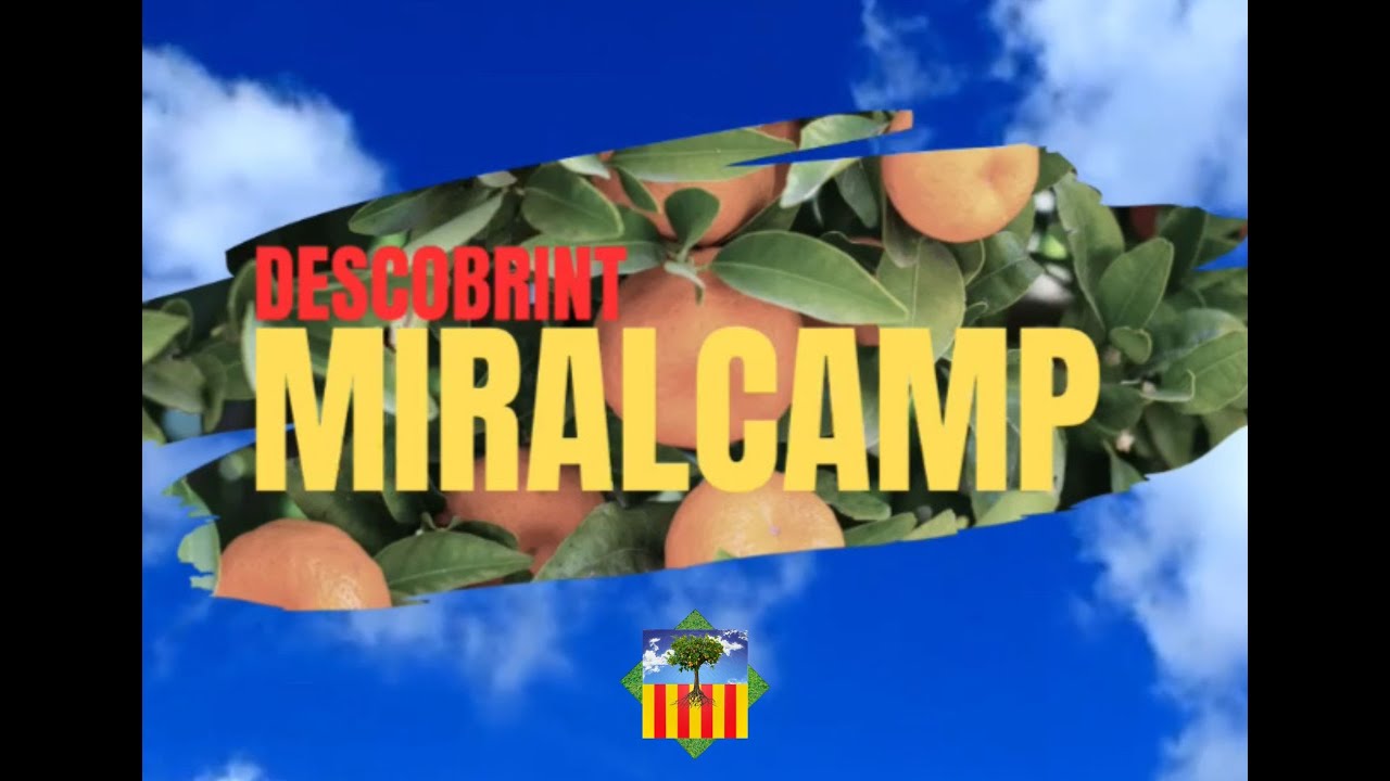 Descobrint Miralcamp