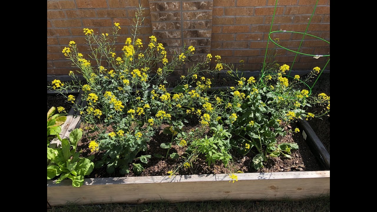 2018 March Garden Tour