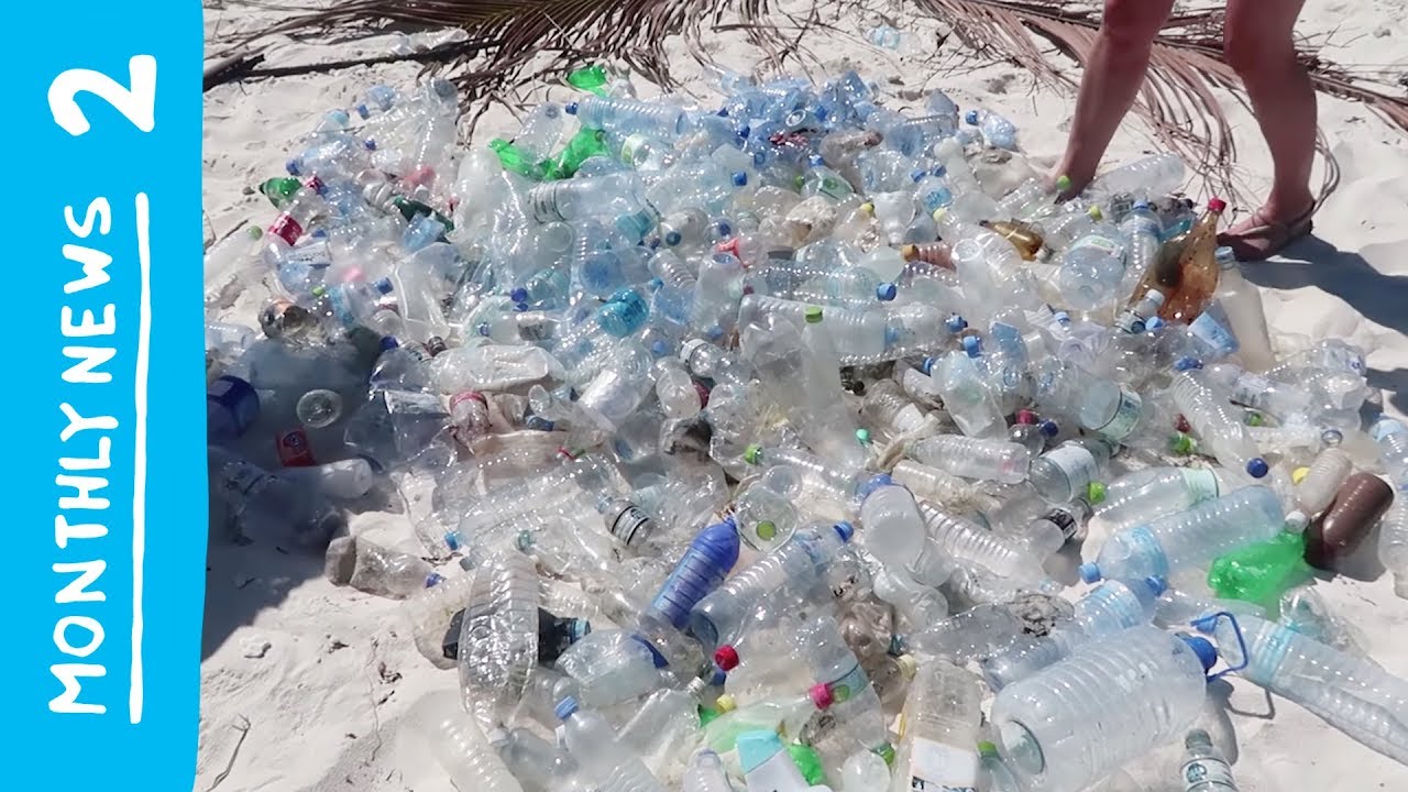 Monthly news #2 - Plastic experiments, Maldives & Story Hopper