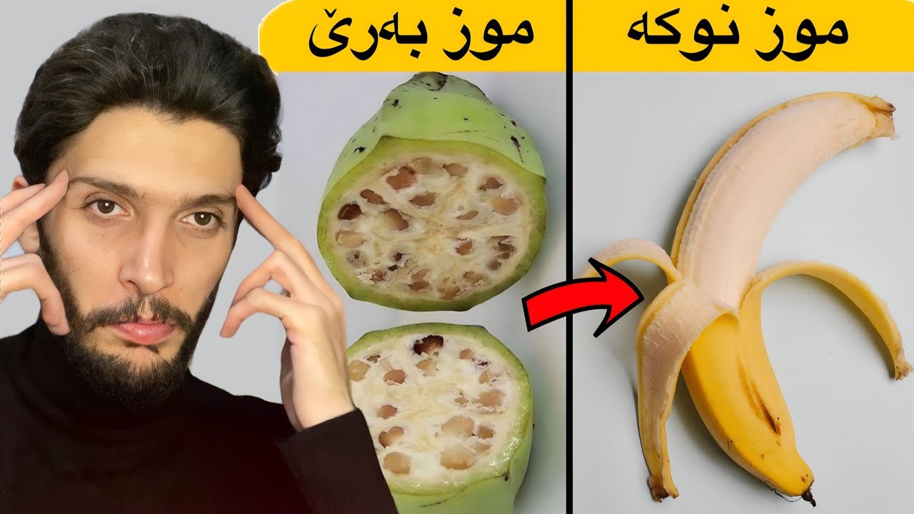 نوكه و كەڤن دا😨گوهـرينيت سەیر