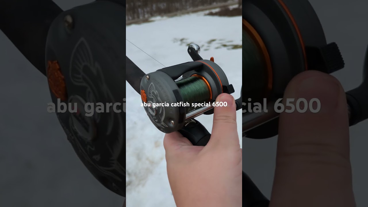 Abu Garcia C3 Catfish Special 6500