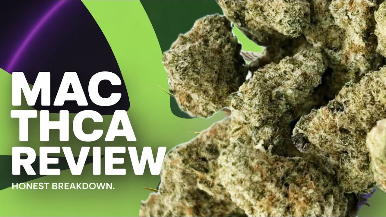 Miracle Alien Cookies THCA Review | Gold Spectrum Exotic Hybrid 2026!