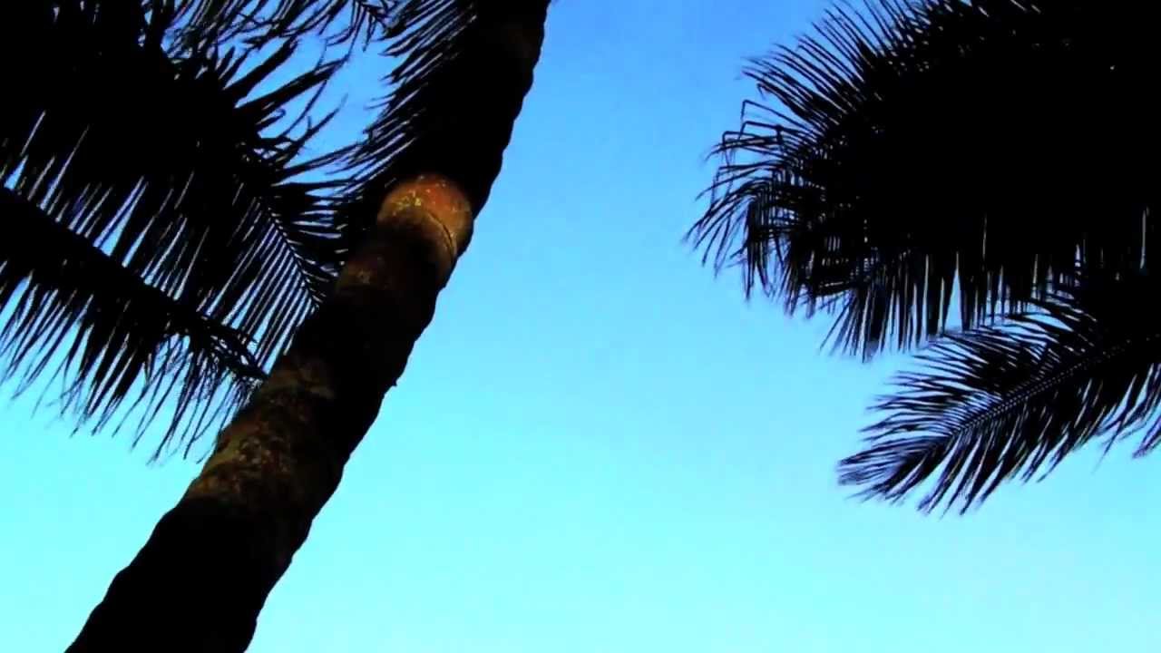 Hawaii Minute. Hamakua Coast.