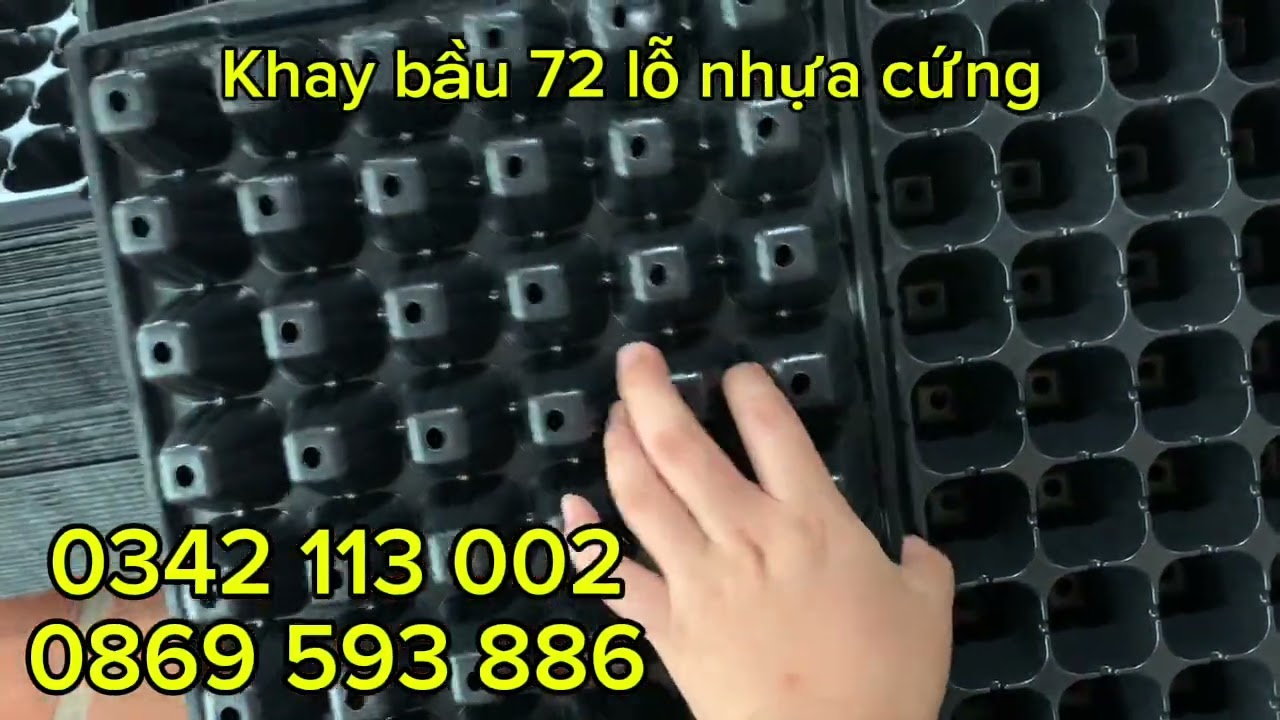 KHAY BẦU ƯƠM CÂY GIỐNG 72 LỖ , ƯƠM CÂY BẦU,  BÍ , NGÔ , CÀ CHUA , DƯA LÊ , DƯA HẤU 