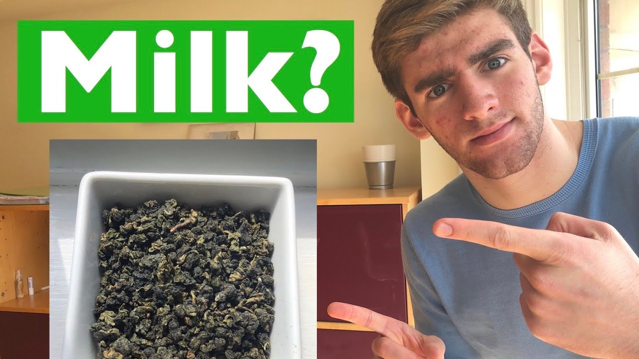 Milk Oolong